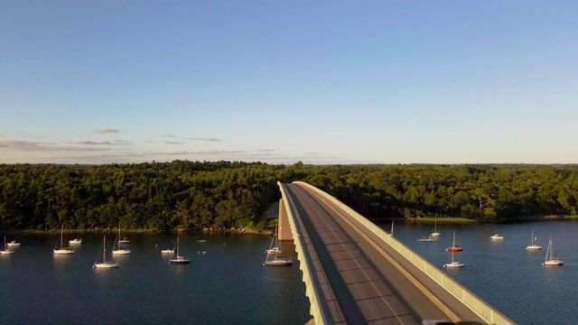 Terpene Profile Deep Dive