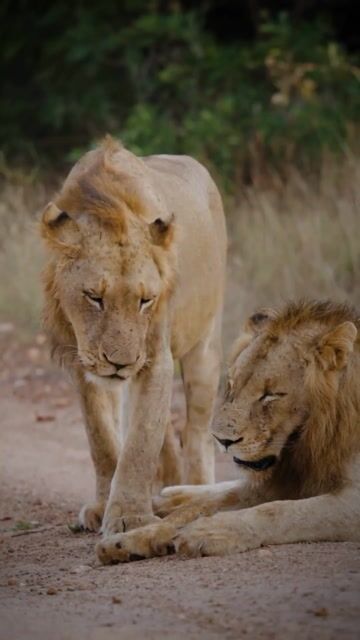 Smoke Session with Friends
