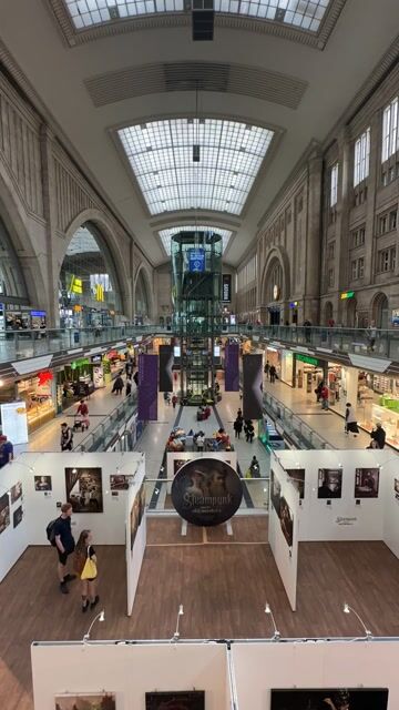 Strain Comparison: Sativa vs Indica