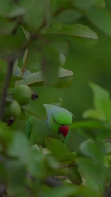 Interview with Industry Leaders