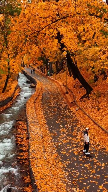 Harvest Day Celebration