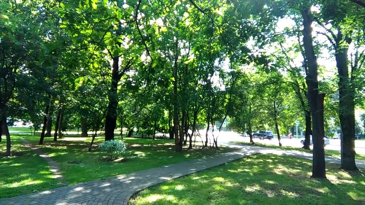 Cannabis Cooking Masterclass