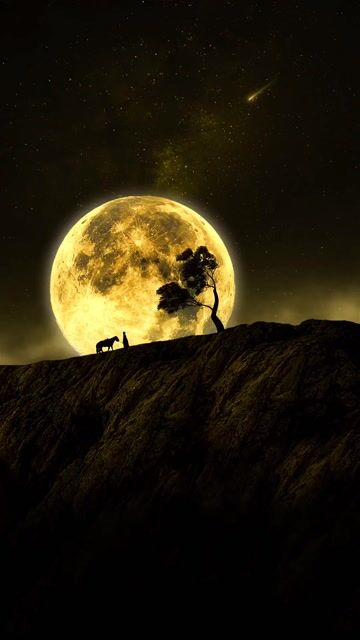 Indoor Growing Setup Guide