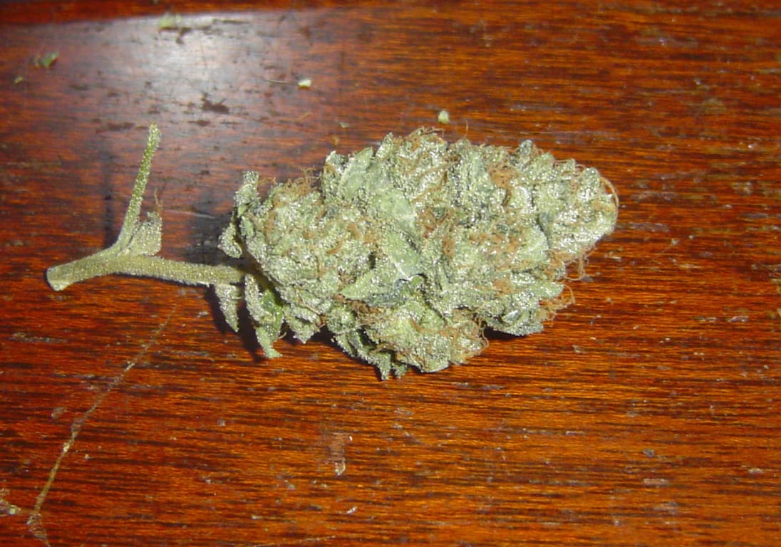 Tahoe OG Kush