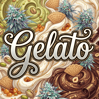 Gelato