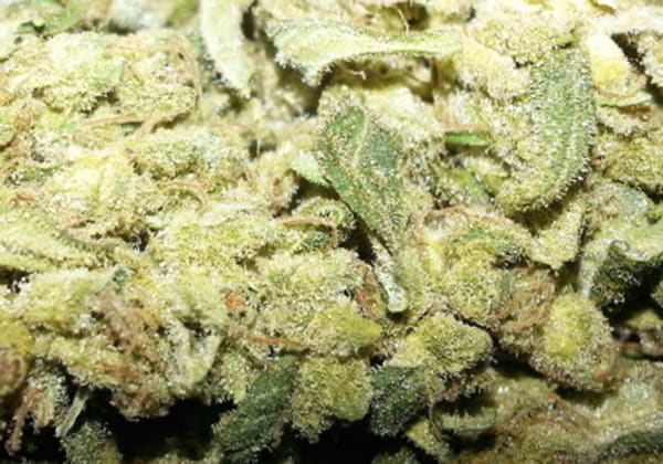 Pineapple Chunk