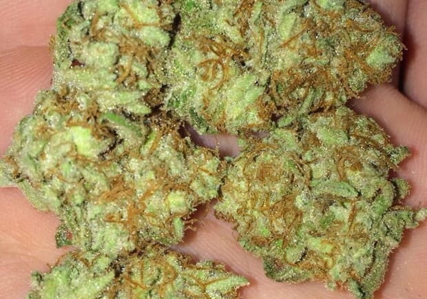 Chronic Thunder