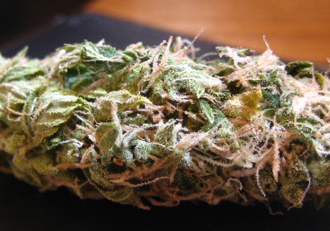 Red Dragon