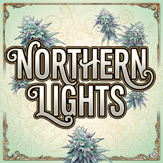 Northern Lights