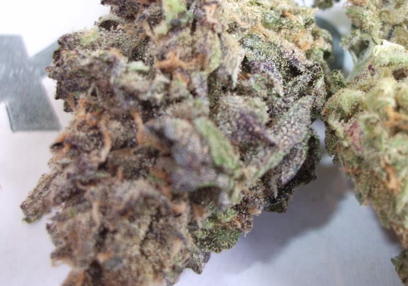 Cherry Pie
