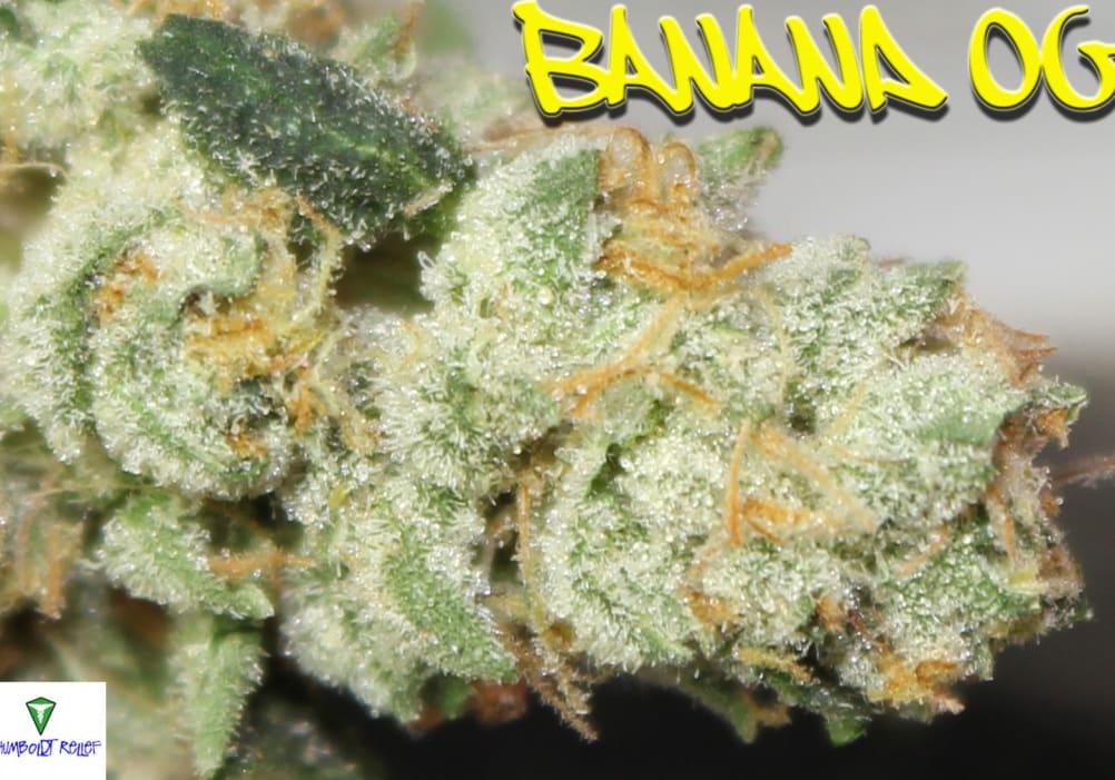 Banana OG