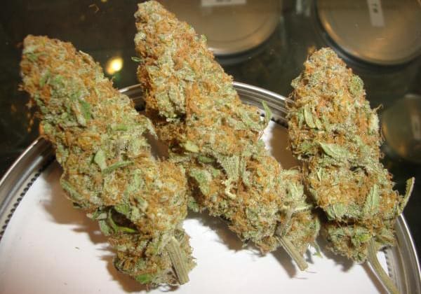8-ball Kush