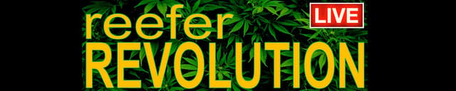 DC 420: The Week in Weed