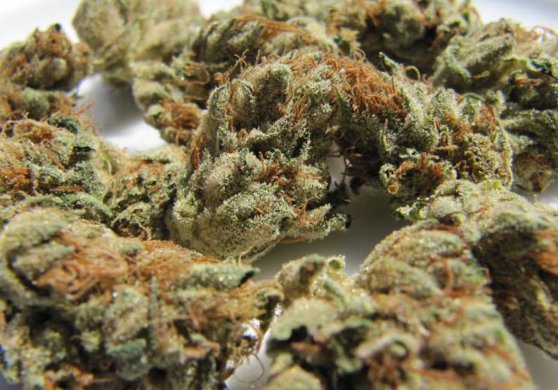 Kosher Kush