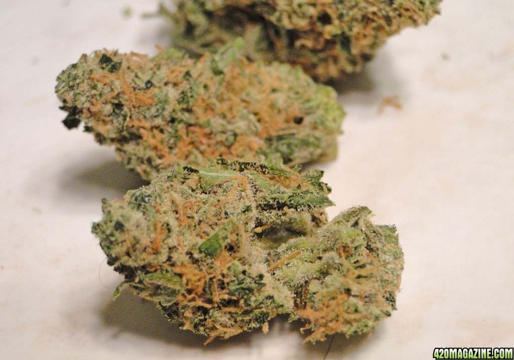 Romulan