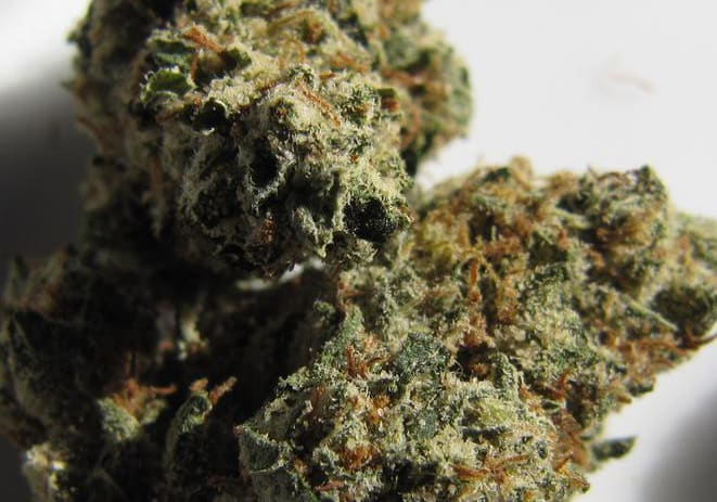707 Headband