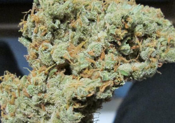 Amnesia Haze
