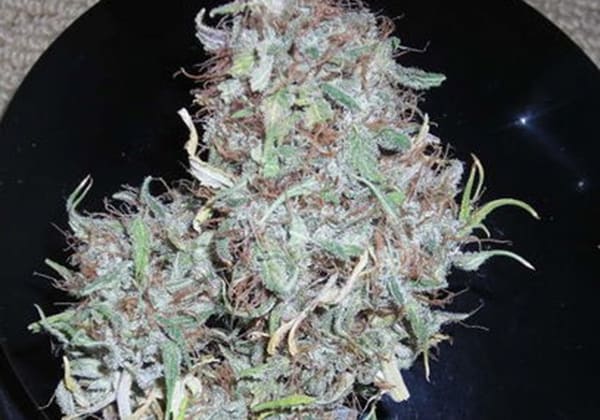 Strawberry Cough