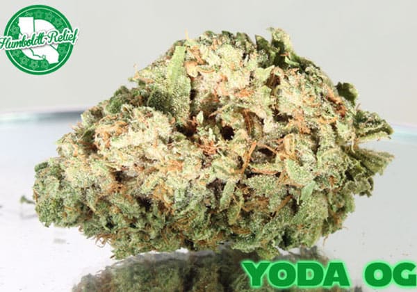 Yoda OG