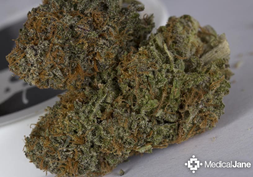 Granddaddy Purple