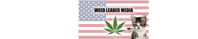 Weed Leader Media