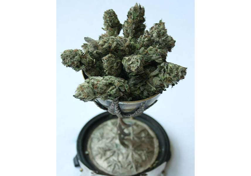 Night Nurse
