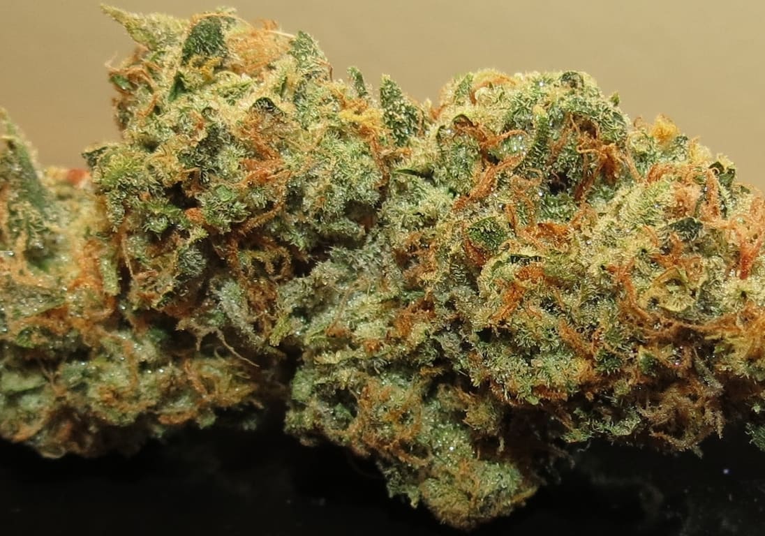 Mother's Milk