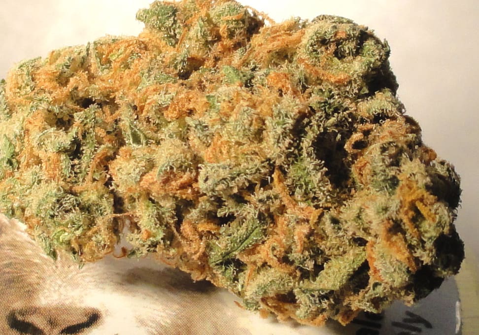 White Fire OG