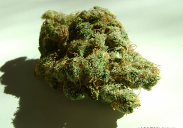 Liberty Haze