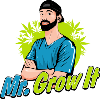 Mr. Grow It