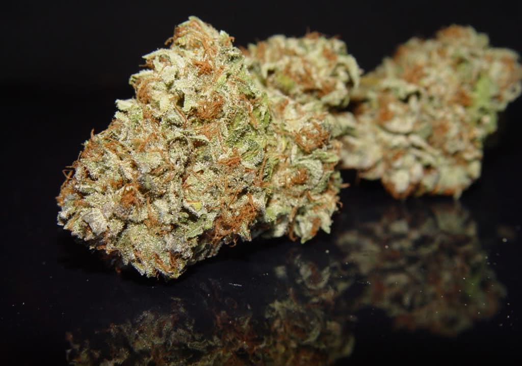 Master Bubba Kush
