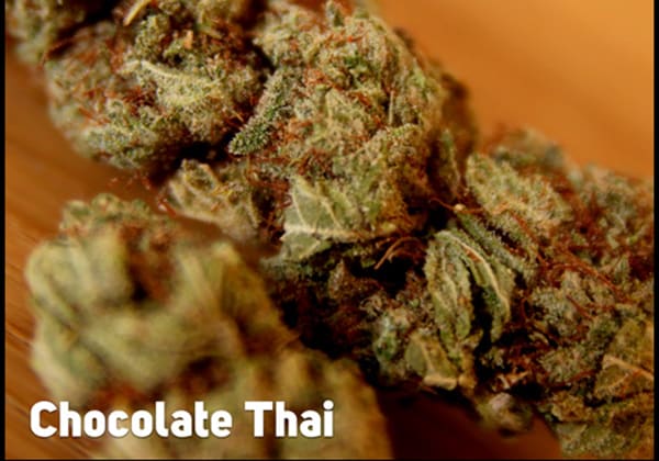 Chocolate Thai