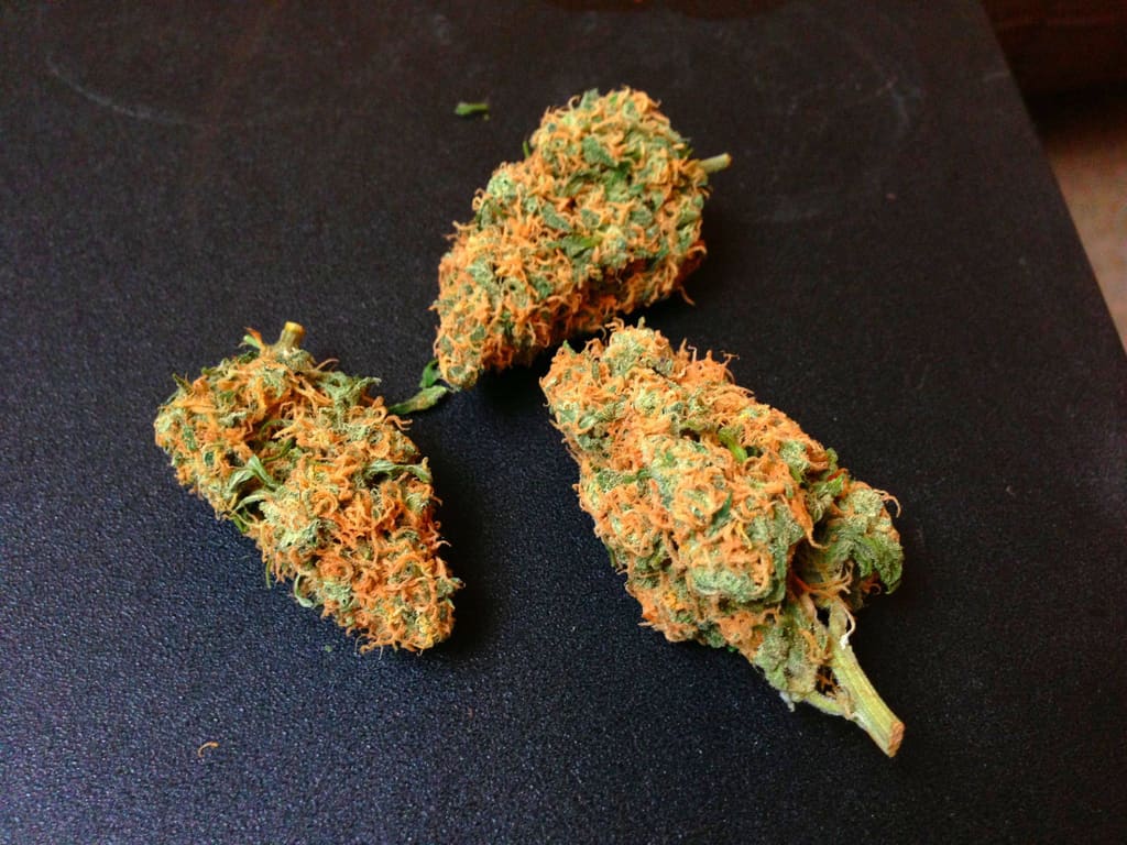 Tutankhamun