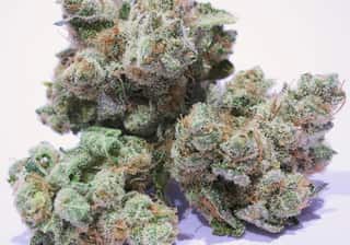 Banana OG