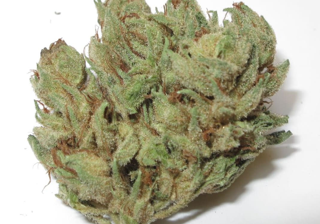 Alien Kush