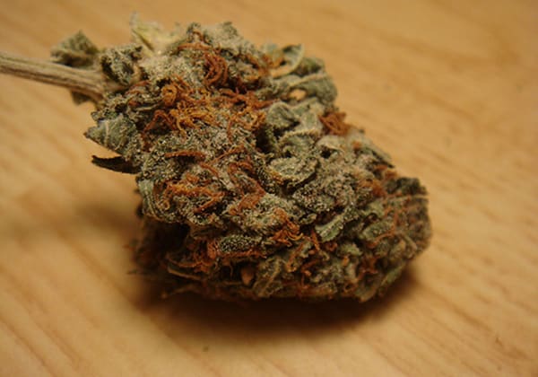 Afghan Kush