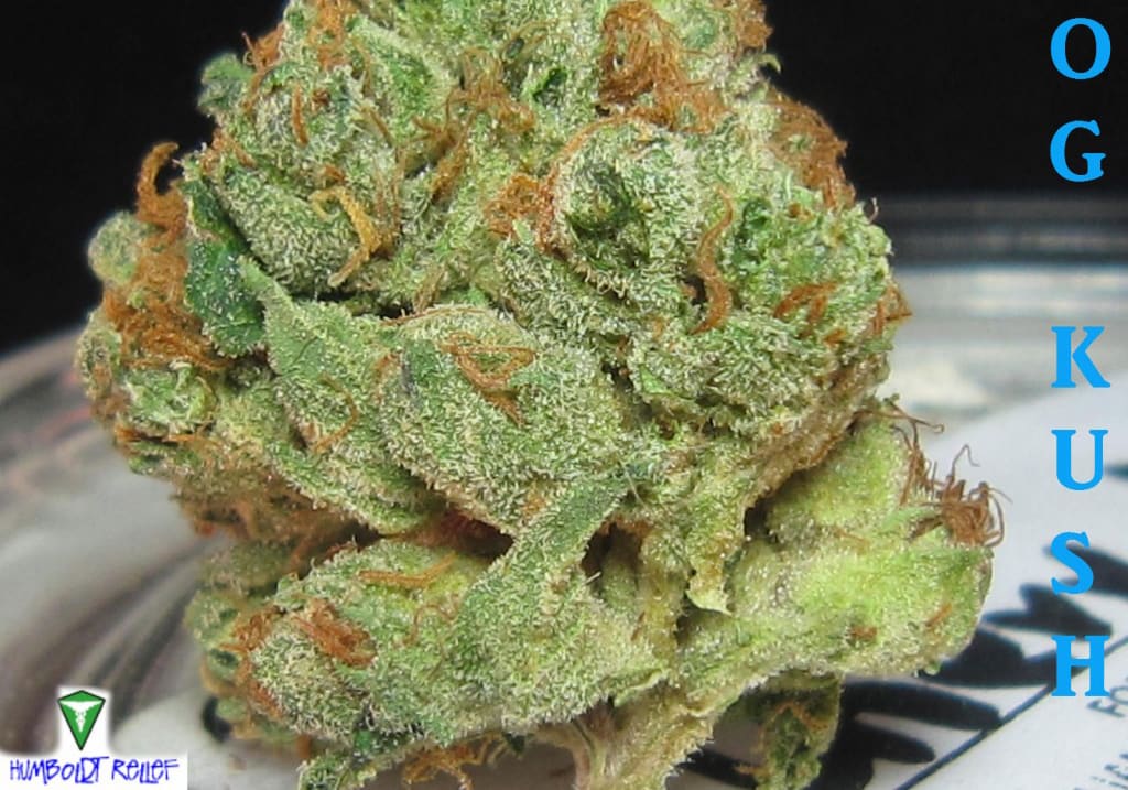 OG Kush