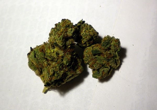 Skywalker OG