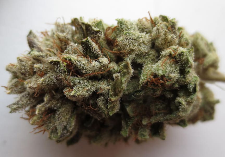 True OG