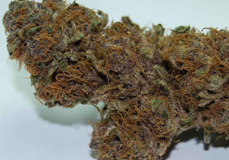 Ace of Spades