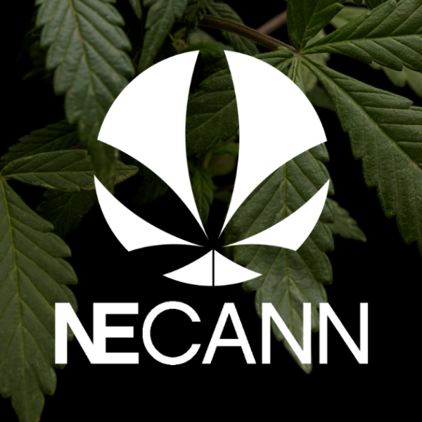 NECANN New York logo