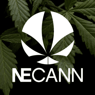 NECANN New York logo
