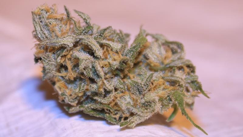 Green Crack