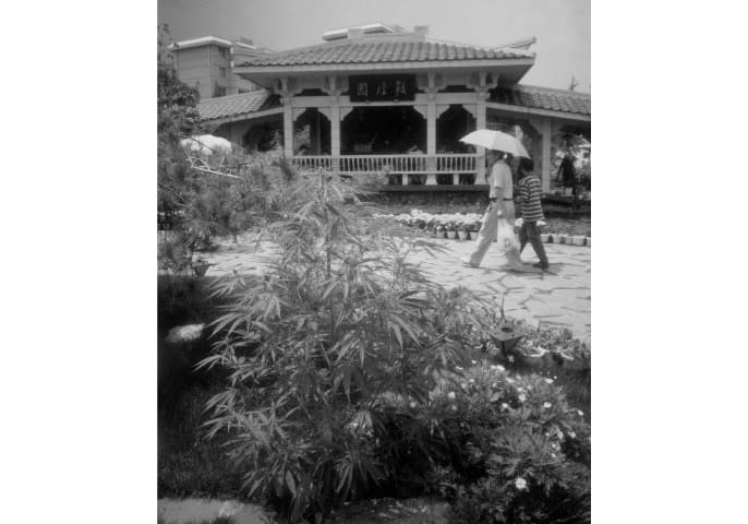 China Yunnan