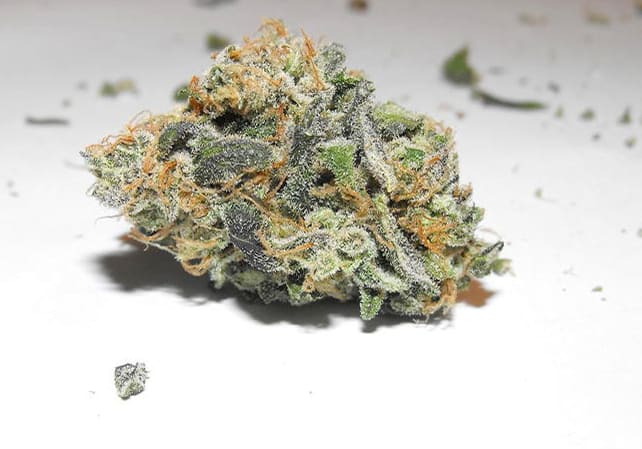 Casey Jones