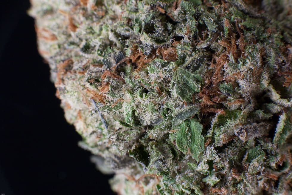 Bubba Kush