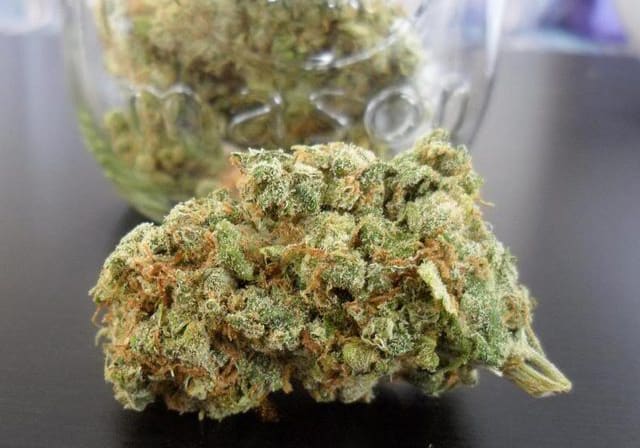 Jack Herer