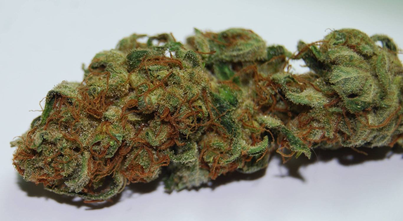 Jack the Ripper