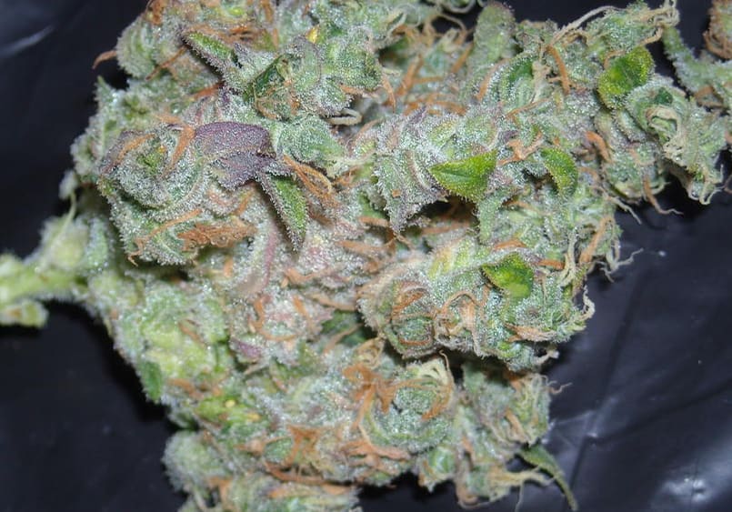 Triple Diesel