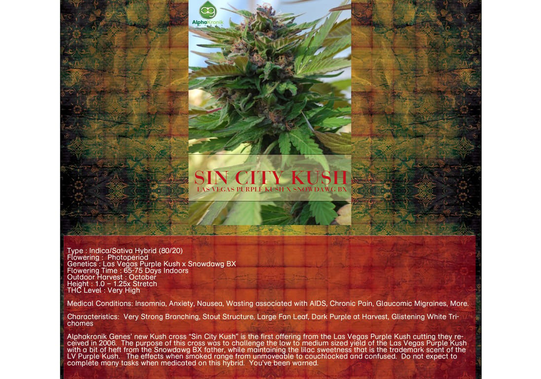 Sin City Kush